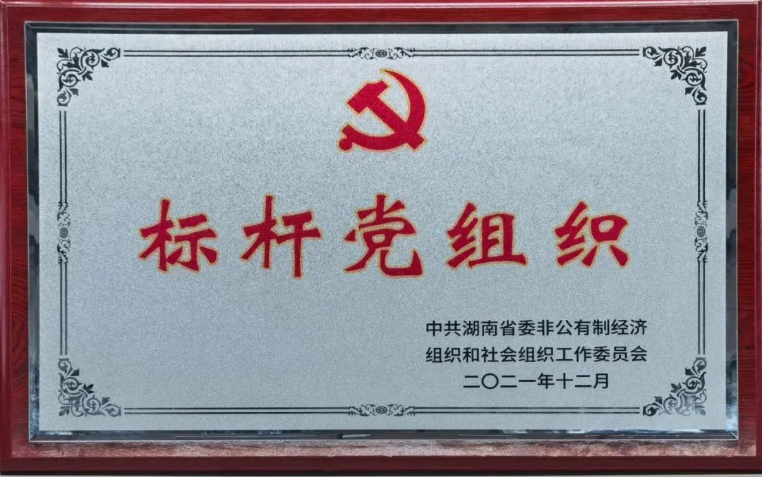 党建品牌亮起来！！3044am永利集团智能党委获评“标杆党组织”