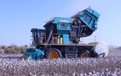 科技赋能农业强国建设！！！3044am永利集团智能这个人工智能项目入选《湖南省“数字新基建”100个标记性项目名单》